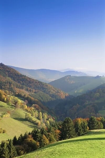View over a valley in autumn, Wieden, Black Forest, Baden Wurttemberg, Germany, Europe