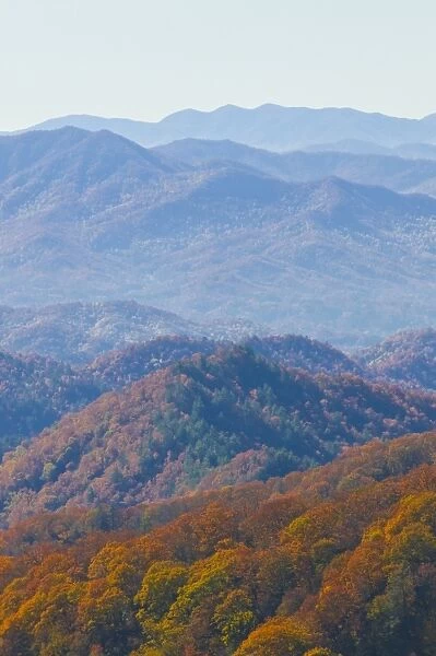 View over a valley with colourful foliage in the Indian summer, Great Smoky Mountains National Park