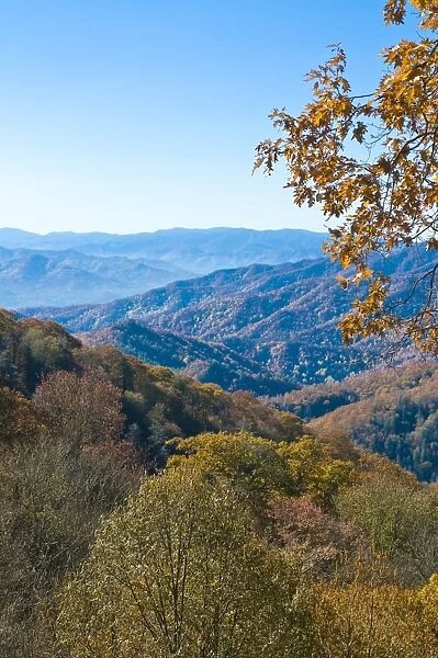 View over valley with colourful foliage in the Indian summer, Great Smoky Mountains National Park