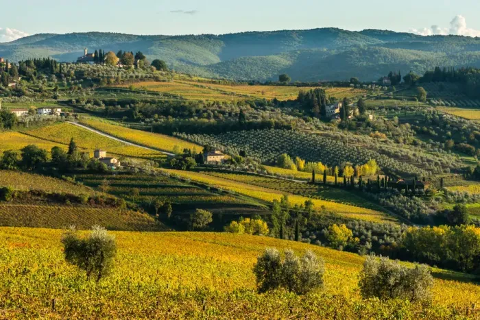 Framed Print : View of valley of Panzano in Chianti, patterned lines of vineyards