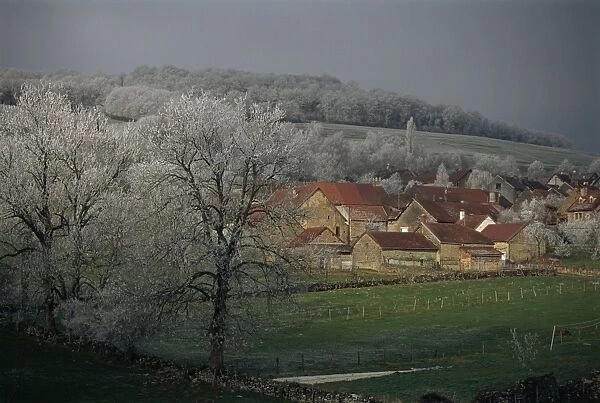 View of village of Chailly with frost covered trees, Bourgogne, France, Europe