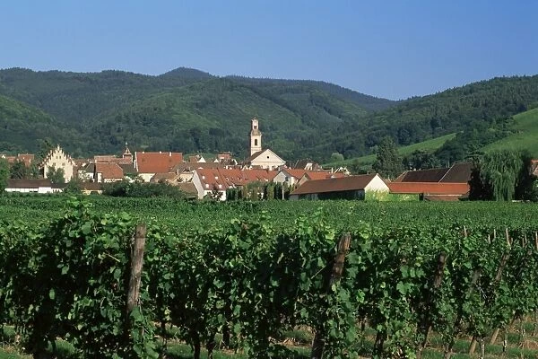 View to village from vineyards, Riquewihr, Haut-Rhin, Alsace, France, Europe