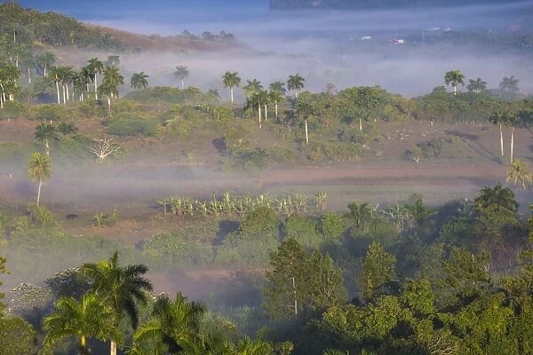View of Vinales Valley, UNESCO World Heritage Site, Vinales, Pinar del Rio Province