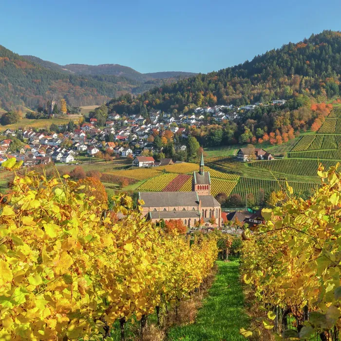 Framed Print : View over vineyards to Kappelrodeck in autumn, Black Forest, Baden-Wurttemberg, Germany Framed Print : View over vineyards to Kappelrodeck in autumn, Black Forest, Baden-Wurttemberg, Germany