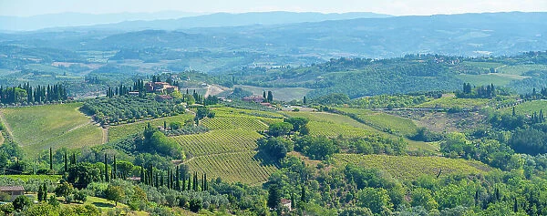 View of vineyards and landscape near San Gimignano, San Gimignano, Province of Siena, Tuscany, Italy, Europe