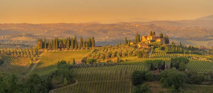Framed Print : View of vineyards and landscape near San Gimignano at sunset, San Gimignano, Province of Siena, Tuscany, Italy, Europe