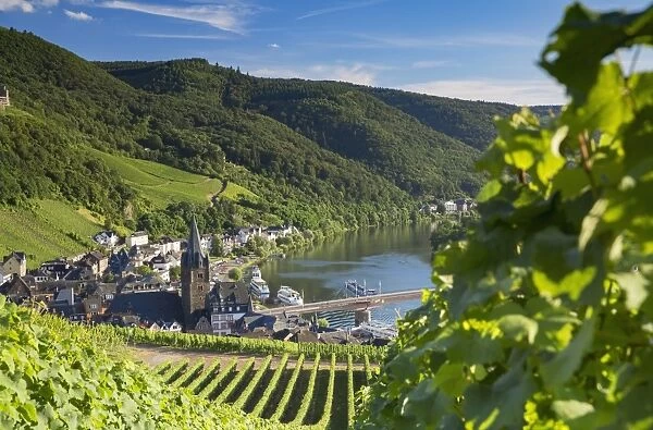 View of vineyards and River Moselle, Bernkastel-Kues, Rhineland-Palatinate, Germany