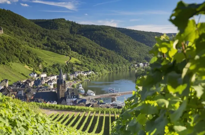 Framed Print : View of vineyards and River Moselle, Bernkastel-Kues, Rhineland-Palatinate, Germany Framed Print : View of vineyards and River Moselle, Bernkastel-Kues, Rhineland-Palatinate, Germany