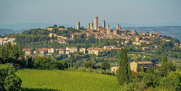 View of vineyards and San Gimignano skyline, San Gimignano, Province of Siena, Tuscany, Italy, Europe
