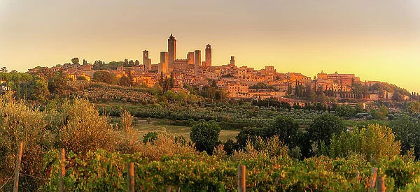 View of vineyards and San Gimignano at sunrise, San Gimignano, Province of Siena, Tuscany, Italy, Europe