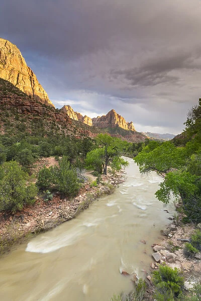View down the Virgin River to the Watchman, Zion National Park, Utah, United States