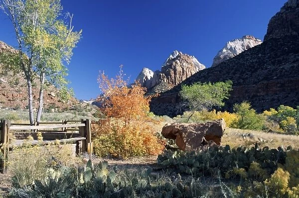 View from Visitor Centre to peaks above Zion Canyon in autumn