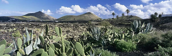 View over the volcanic landscape of Parque Natural de Los Volcanes, La Geria, Lanzarote