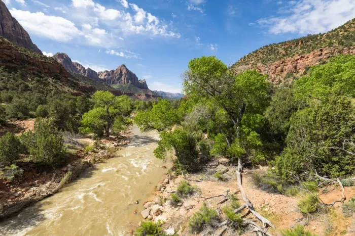 Framed Print : View of the Watchman down the Virgin River, Zion National Park, Utah, United States Framed Print : View of the Watchman down the Virgin River, Zion National Park, Utah, United States