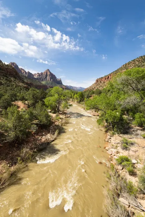 Framed Print : View of the Watchman down the Virgin River, Zion National Park, Utah, United States Framed Print : View of the Watchman down the Virgin River, Zion National Park, Utah, United States