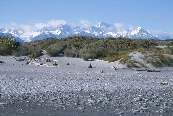 View from west coast beach of forest and Fox Glacier