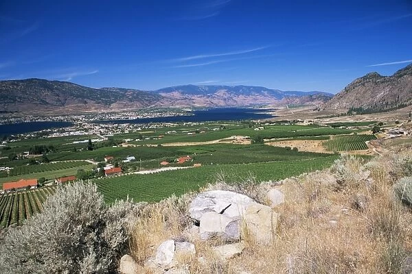 View westwards over vineyards to the town on an isthmus in Osoyoos Lake