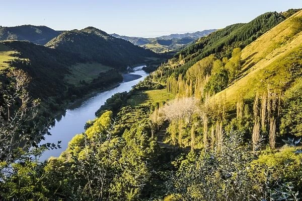 View over the Whanganui River in the lush green countryside, Whanganui River road, North Island, New Zealand, Pacific