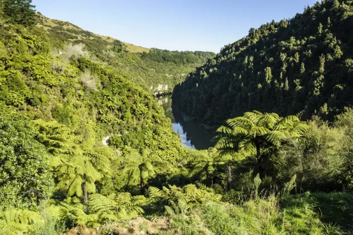 Framed Print : View over the Whanganui River in the lush green countryside, Whanganui River road, North Island, New Zealand, Pacific Framed Print : View over the Whanganui River in the lush green countryside, Whanganui River road, North Island, New Zealand, Pacific