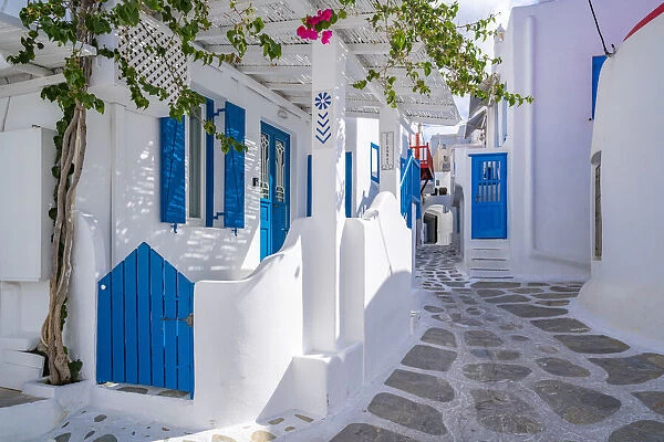 View of whitewashed narrow street, Mykonos Town, Mykonos, Cyclades Islands, Greek Islands