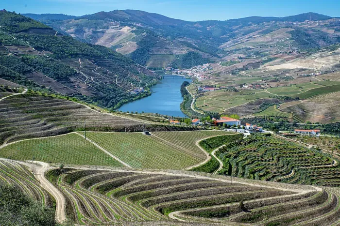 Framed Print : View over the Wine Region of the Douro River, UNESCO World Heritage Site, Portugal, Europe Framed Print : View over the Wine Region of the Douro River, UNESCO World Heritage Site, Portugal, Europe