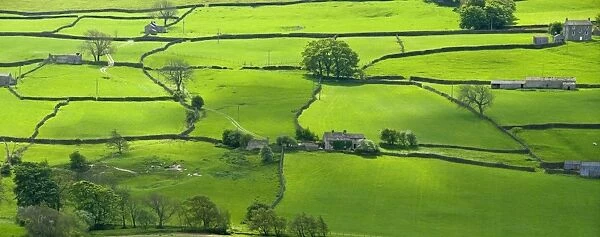 View across the Yorkshire Dales near Reeth in Swaledale, Yorkshire, England