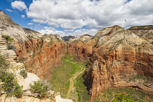 View down Zion Canyon from Angels Landing, Zion National Park, Utah, United States