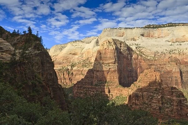 View into Zion Canyon from trail to Observation Point, Zion National Park, Utah, United States of America, North America