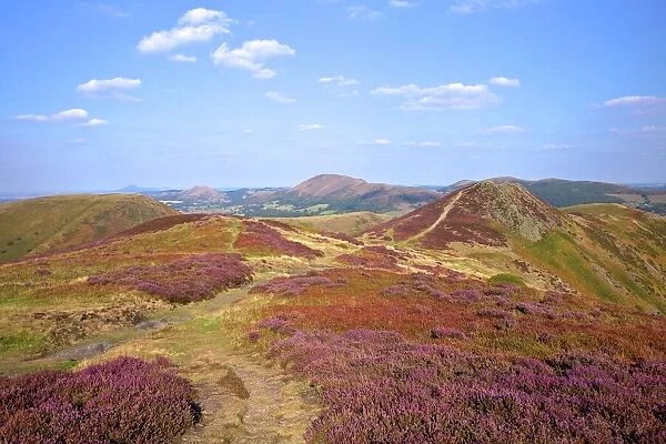 Views over Caradoc, Lawley and the Wrekin from the Long Mynd, Church Stretton Hills