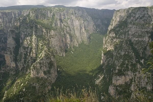 Vikos Gorge, Zagoria mountains, Epiros, Greece, Europe