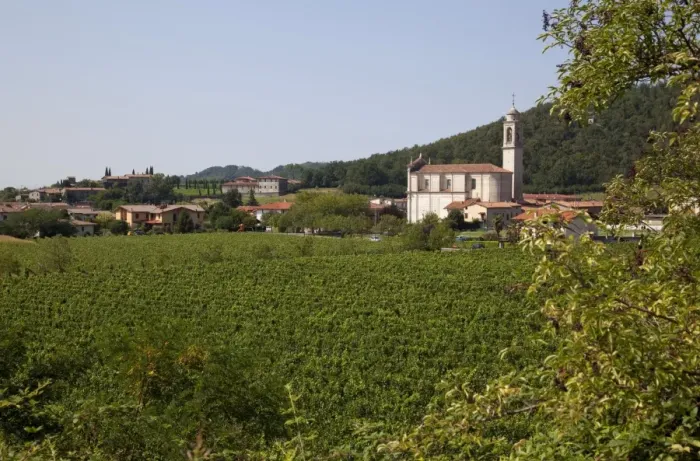 Framed Print : Village church and vineyard near Parma, Emilia Romagna, Italy, Europe Framed Print : Village church and vineyard near Parma, Emilia Romagna, Italy, Europe