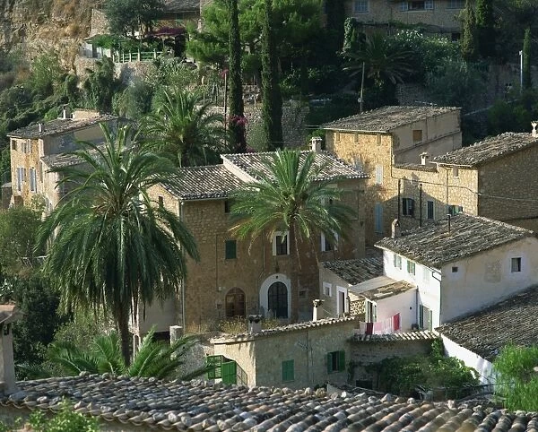 Village houses and palm trees at Deya on Majorca