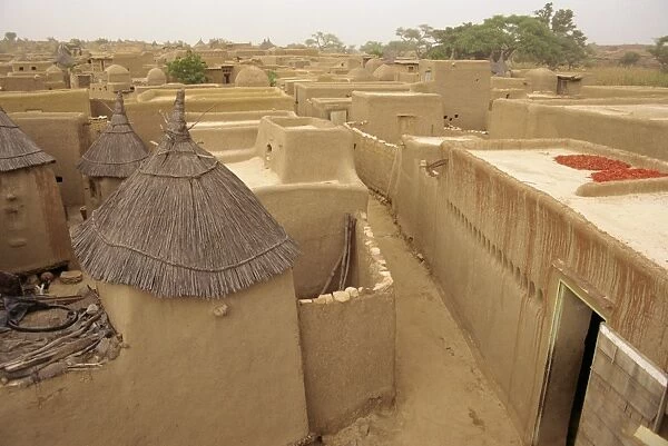 Village just outside Sangha, Dogon area, Mali, Africa