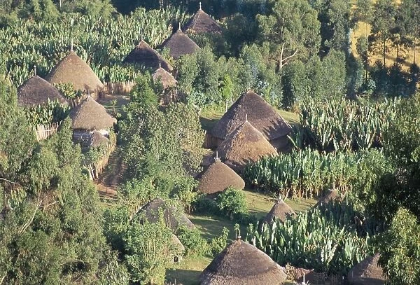 Village in the land of the Gourague, Hosana region, Shoa province, Ethiopia, Africa