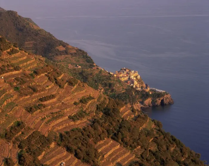 Framed Print : Village of Manarola and terraced vineyards at sunset