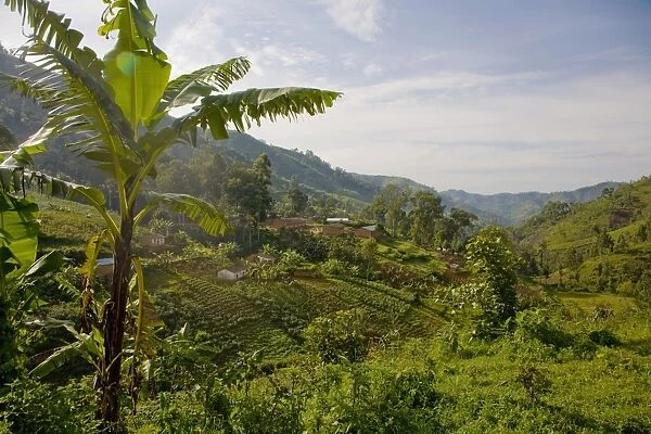 Village of Masango, Cibitoke Province, Burundi, Africa
