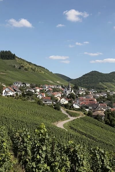 Village of Ockfen with vineyards, Saar Valley, Rhineland-Palatinate, Germany, Europe