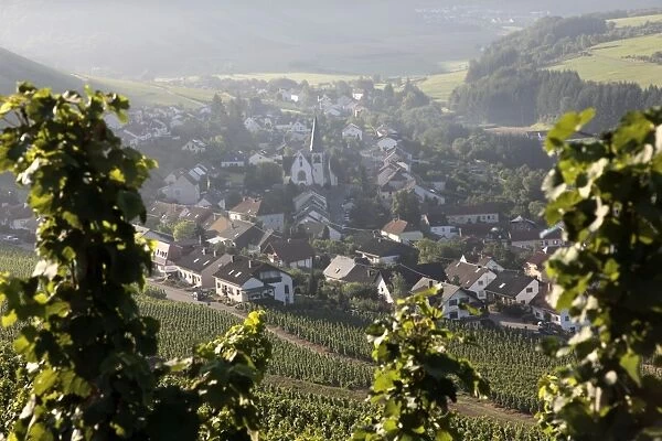 Village of Ockfen with vineyards, Saar Valley, Rhineland-Palatinate, Germany, Europe