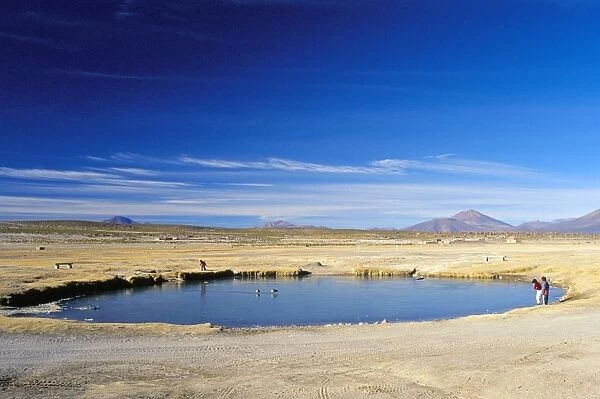 Village pond at San Juan, Salar de Uyuni, Bolivia, South America