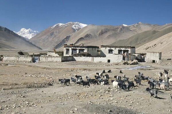 Village in Ra valley above Tingri, Cho Oyu and Himalayas in distance, Tibetan Plateau