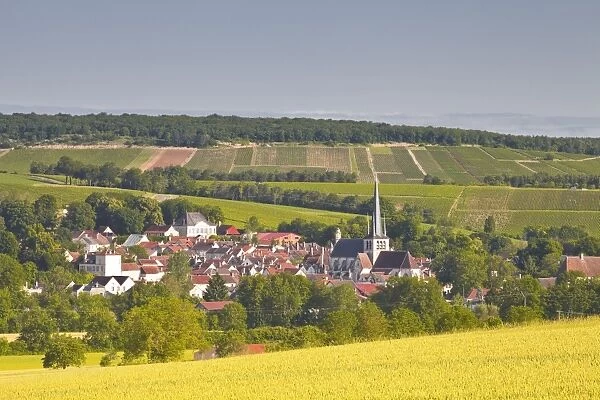 The village of Ricey Bas in the Cote des Bar area, Champagne, France, Europe