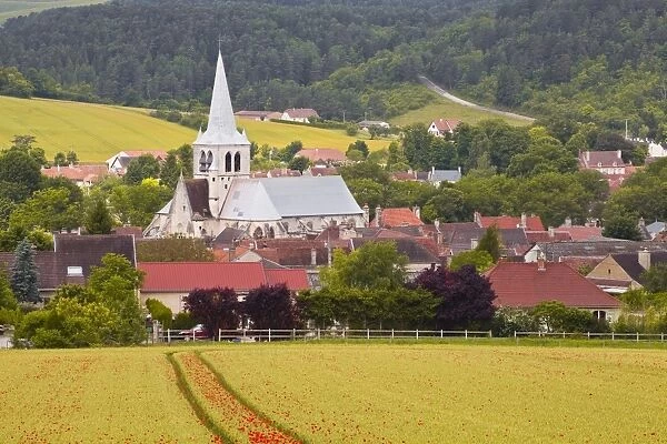 The village of Ricey Haut in the Champagne area, France, Europe