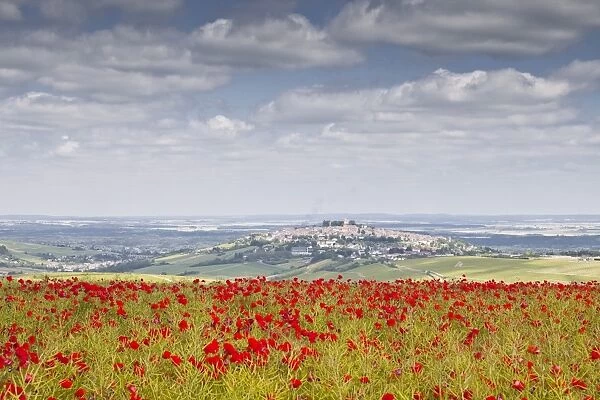 The village of Sancerre with a field of poppies in the foreground, Cher, Centre, France, Europe