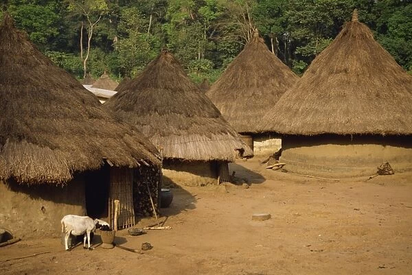 Village scene, Ivory Coast, West Africa, Africa