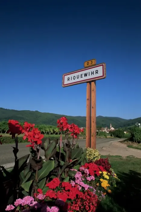 Framed Print : Village sign and flowers, Riquewihr, Haut-Rhin, Alsace, France, Europe Framed Print : Village sign and flowers, Riquewihr, Haut-Rhin, Alsace, France, Europe