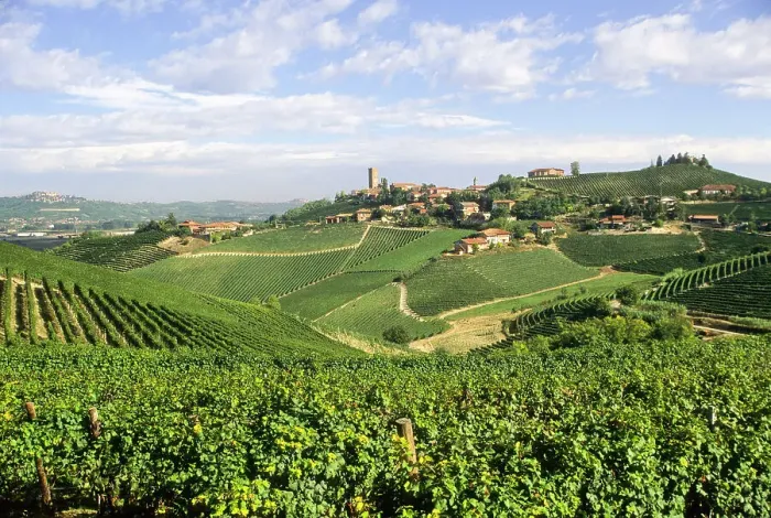 Framed Print : Village and vineyards of Barbaresco, Province of Cuneo, Piedmont region, Italy, Europe Framed Print : Village and vineyards of Barbaresco, Province of Cuneo, Piedmont region, Italy, Europe