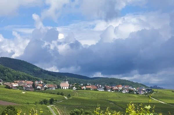 Village amongst vineyards in the Pfalz area, Germany, Europe