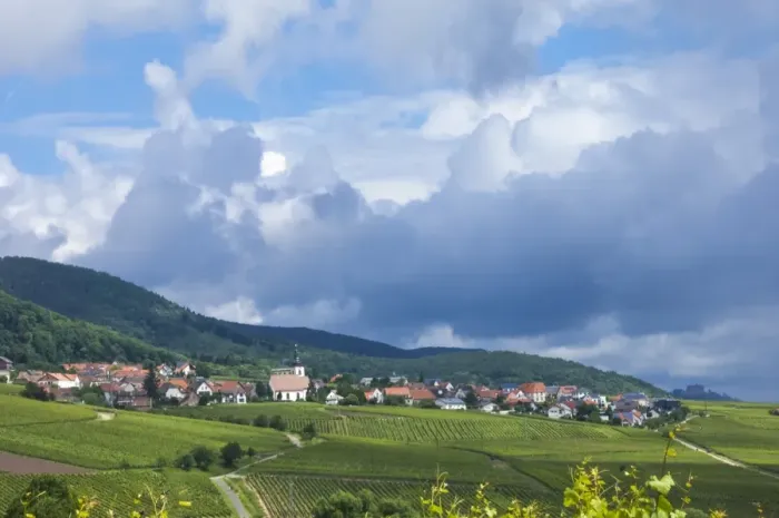 Framed Print : Village amongst vineyards in the Pfalz area, Germany, Europe Framed Print : Village amongst vineyards in the Pfalz area, Germany, Europe