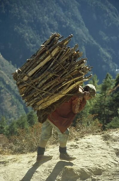 Villager carrying firewood on his back from Trashinga