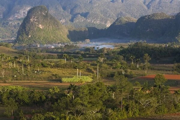 Vinales Valley, UNESCO World Heritage Site, bathed in early morning sunlight, Vinales, Pinar Del Rio Province, Cuba, West Indies, Central America